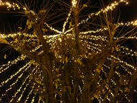 DSC04766.JPG