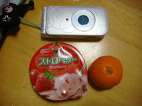 DSC04818.JPG