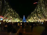 DSC04886.JPG
