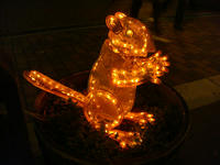 DSC04898.JPG