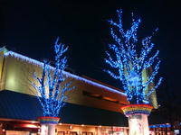 DSC04972.JPG