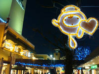DSC04973.JPG