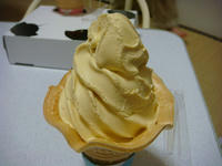 DSC05265.JPG