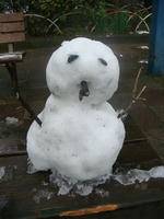 DSC05319.JPG