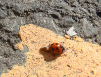DSC05540.JPG