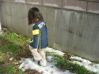 DSC05676.JPG