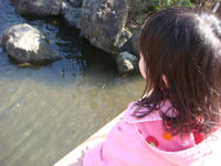 DSC05685.JPG