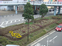 DSC05702.JPG