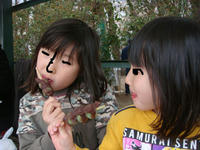 DSC06001.JPG