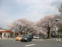 DSC06004.JPG