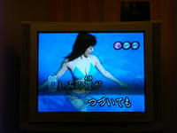 DSC06508.JPG