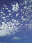 ec1245eejpeg