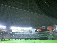 CA3E0157.jpg