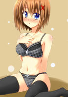 20120226_hayate2b.jpg