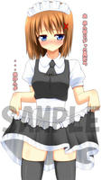 20120318_sample.jpg