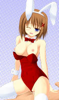 20120329_bunny.jpg