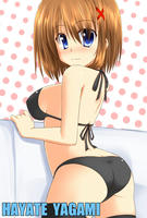 20120814_hayate2.jpg