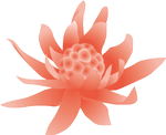 11b6111f.png