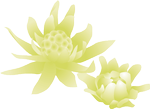 884c71b4.png