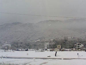 L7040075.JPG