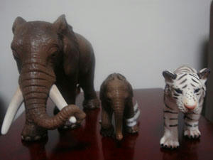 DSC00029.JPG