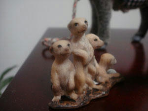 DSC00031.JPG