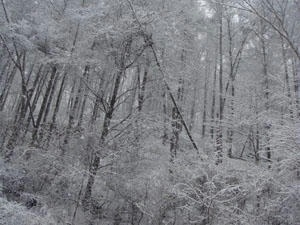 DSC00202.JPG
