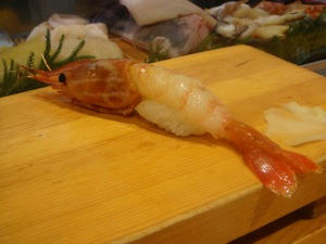 DSC00463.jpg