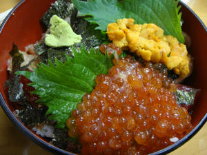 DSC00728.jpg