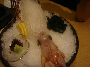DSC01329.jpg