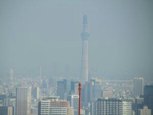 IMG_1882.jpg