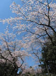 IMG_0157.jpg