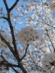 IMG_0166.jpg
