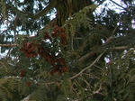 mi_asunaro070310d_u2.jpg