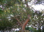6matu070519e_u1.jpg