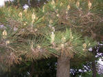 6matu070519f_u1.jpg