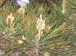 6matu070519f_u2.jpg