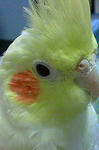 NEC_0018.jpg