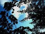 sky05_02.jpg