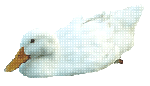 ar_02.gif