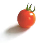 tomato01_01.jpg