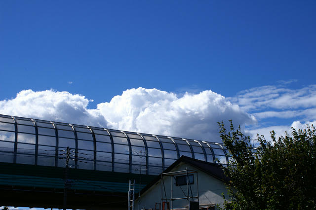 秋の空