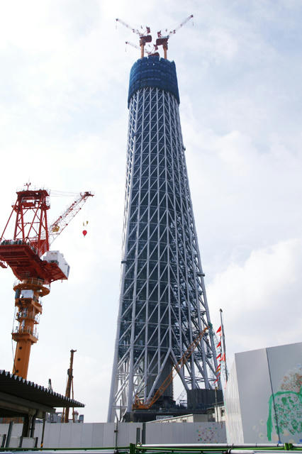 20100131東京スカイツリー1