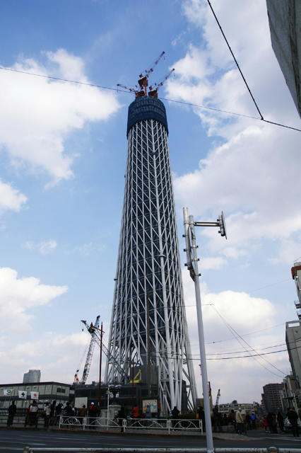 20100131東京スカイツリー5