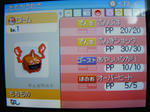 rotom1