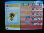 rotom2