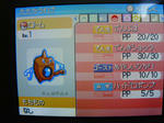rotom4