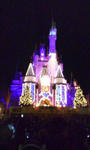 TDL