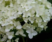 473440318_183.jpg