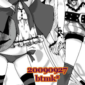 メガマニパンフ表紙！